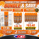 Surface Citrus Cleaner Aerosol - 18oz