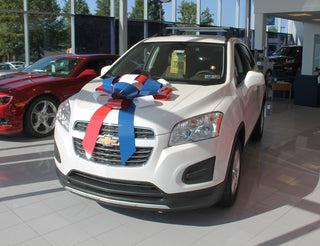 Buy red-white-and-blue Car Bow - 30&quot; Jumbo