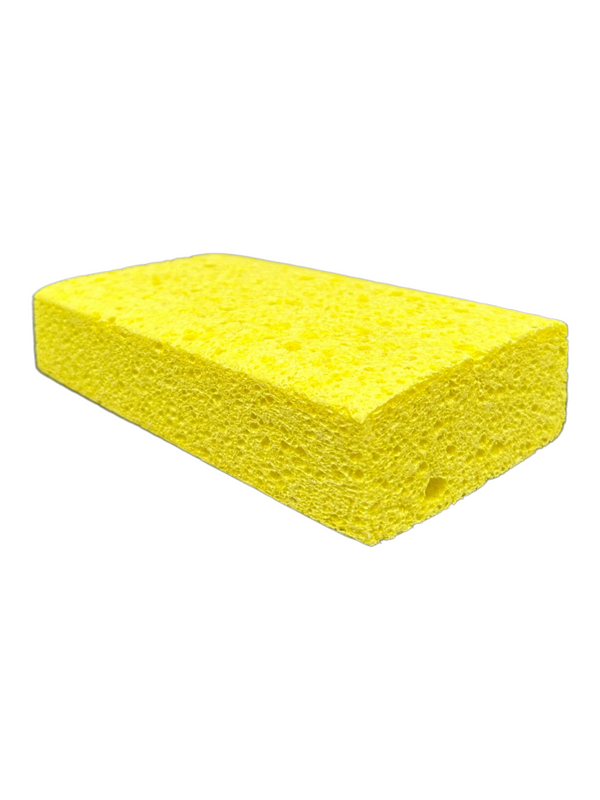 Sponges