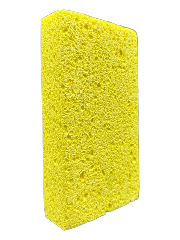 Sponges
